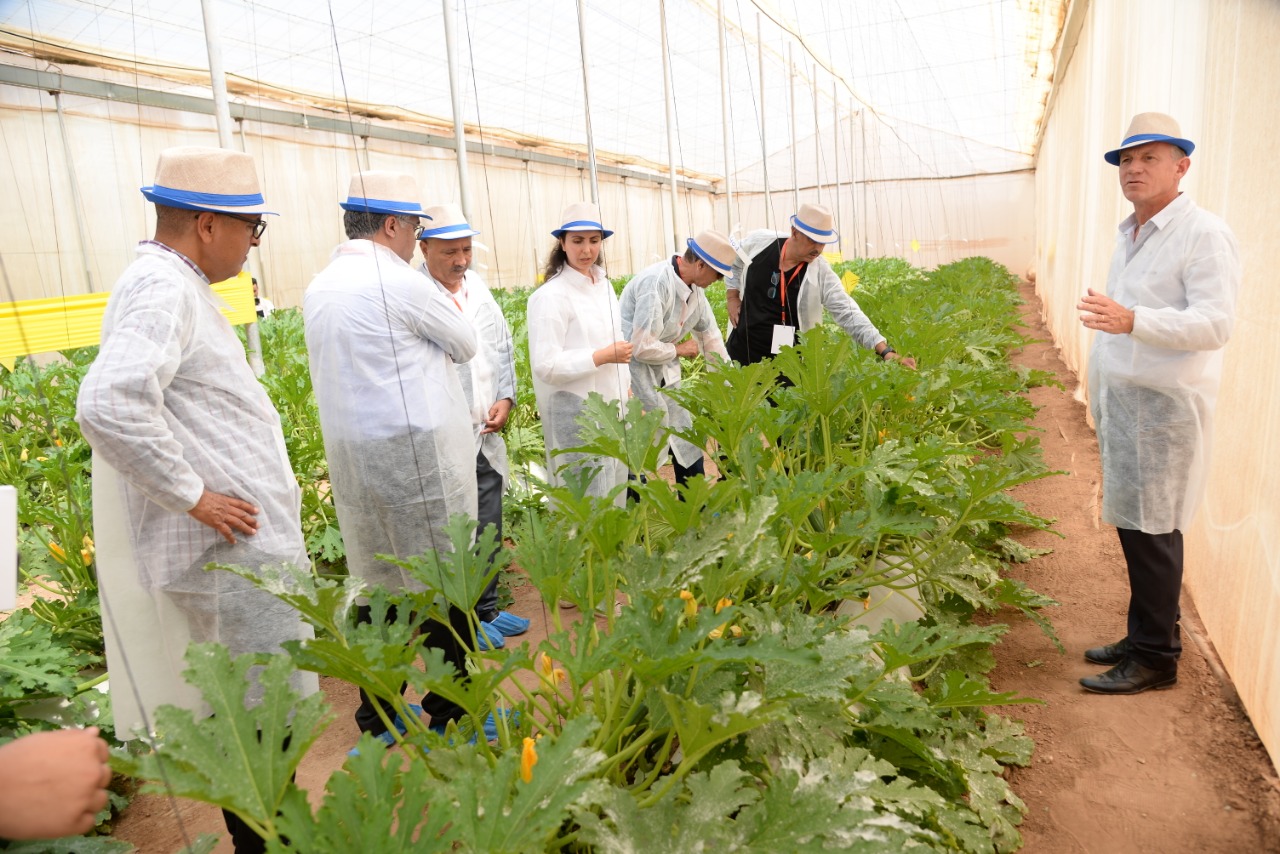Syngenta présente à Agadir ses solutions pour une agriculture durable